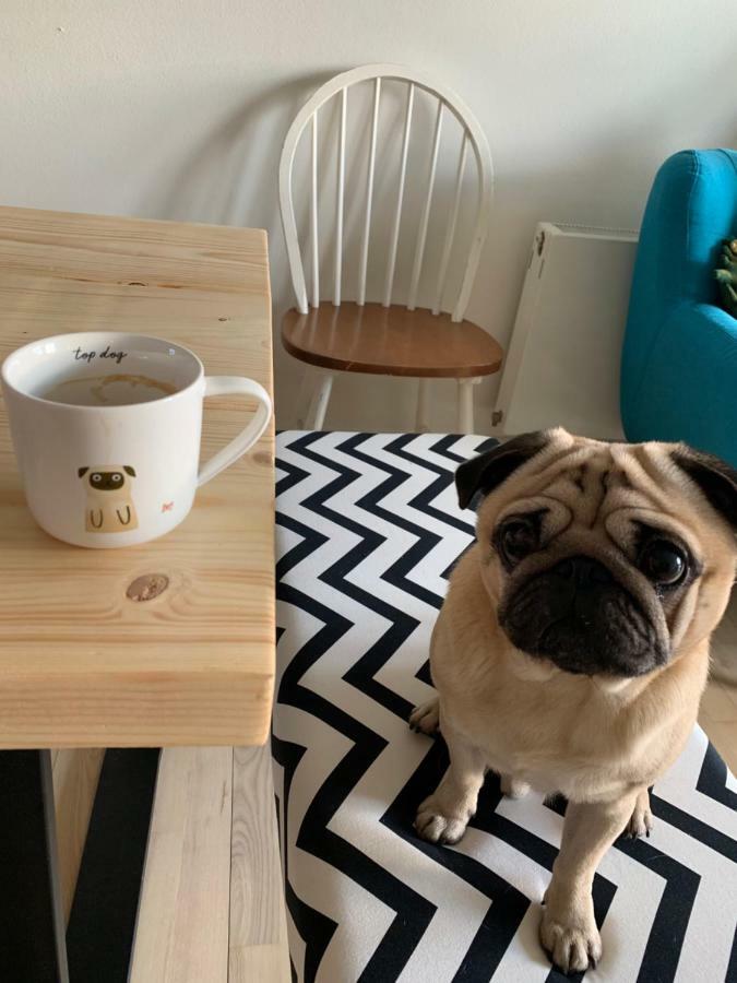 Cute Pug Guest Room København Eksteriør billede