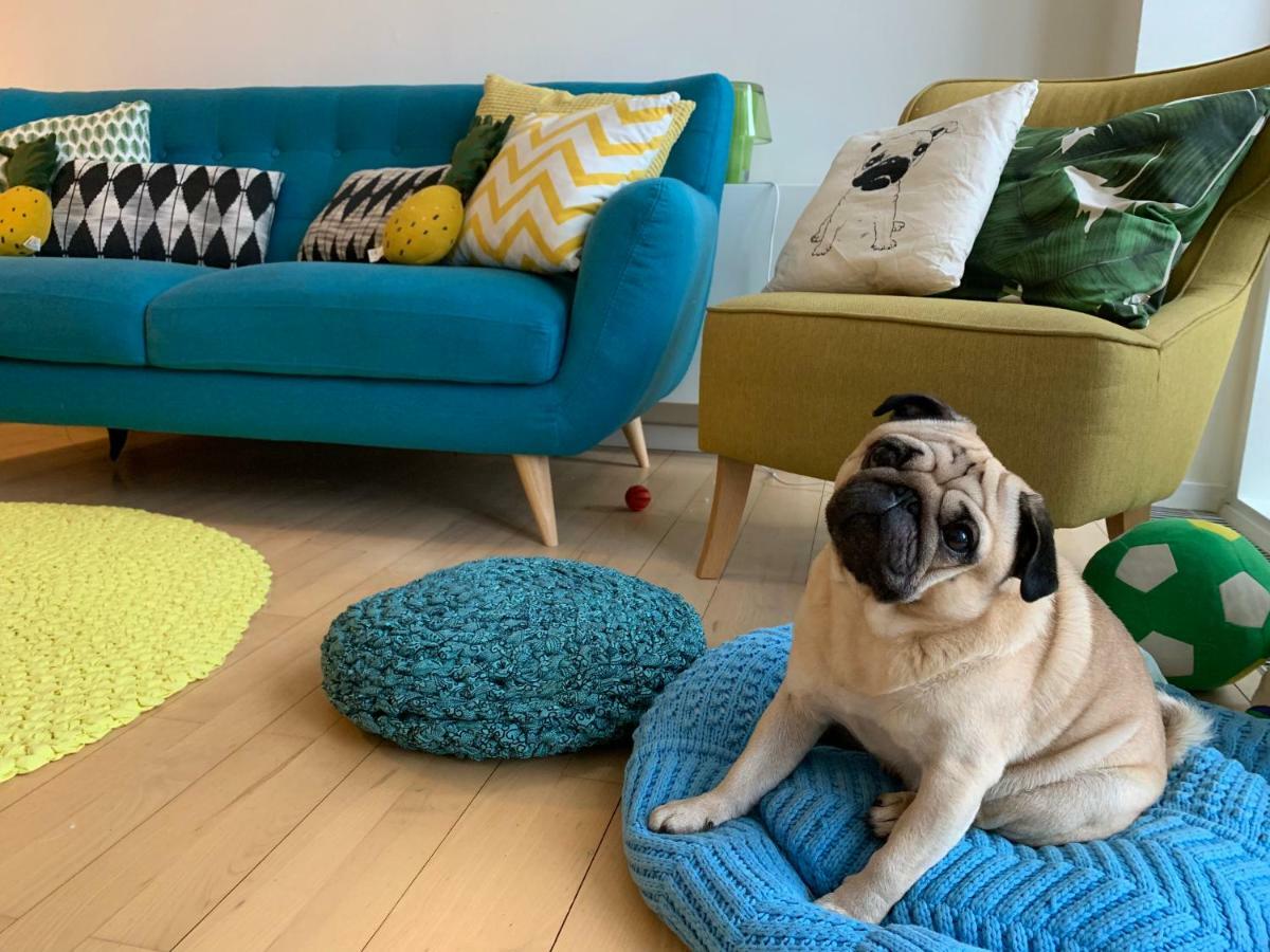 Cute Pug Guest Room København Eksteriør billede